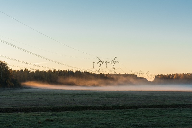 Фото сделанное пользователем qvattro