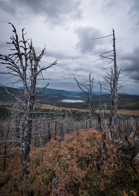 Фото сделанное пользователем KotoPalych