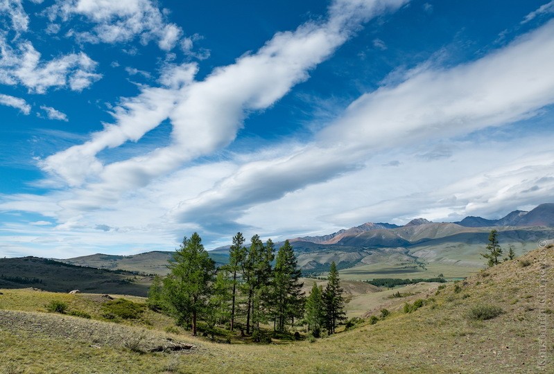 Фото сделанное пользователем KotoPalych