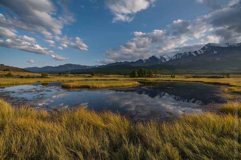 Фото сделанное пользователем KotoPalych