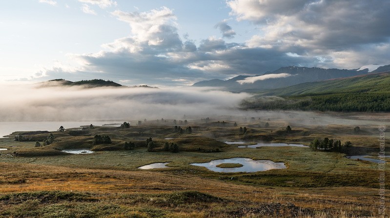 Фото сделанное пользователем KotoPalych