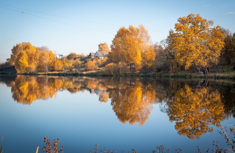 Фото сделанное пользователем KotoPalych