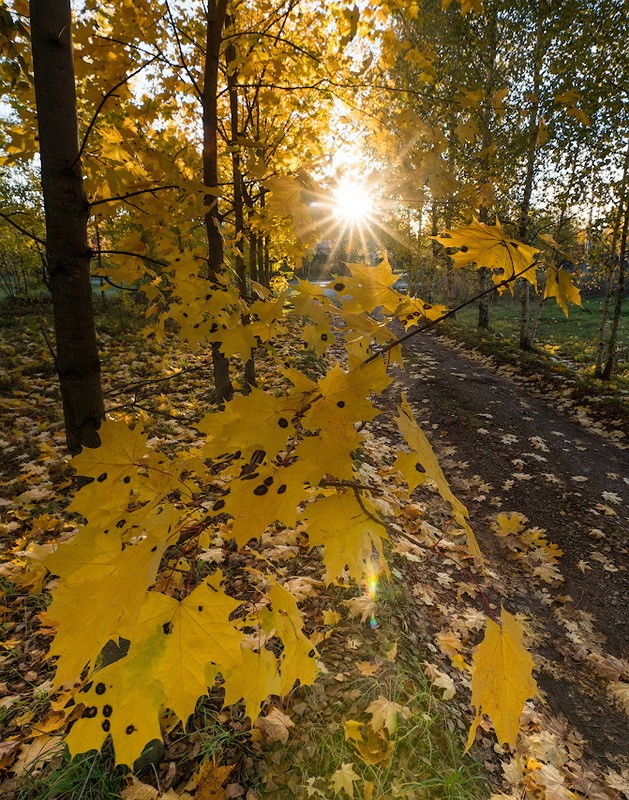 Фото сделанное пользователем KotoPalych