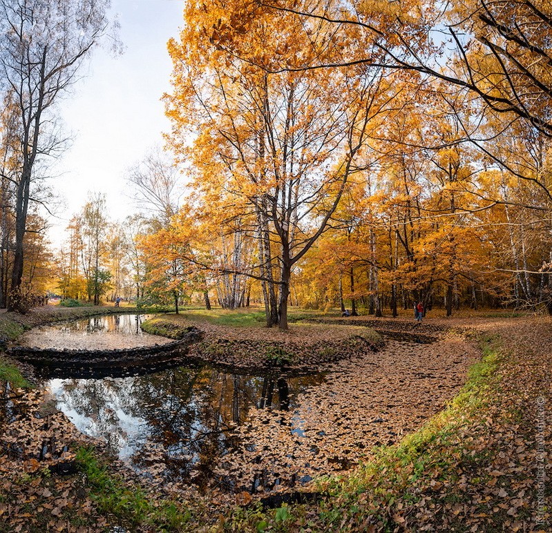 Фото сделанное пользователем KotoPalych