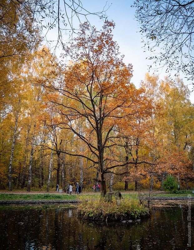 Фото сделанное пользователем KotoPalych