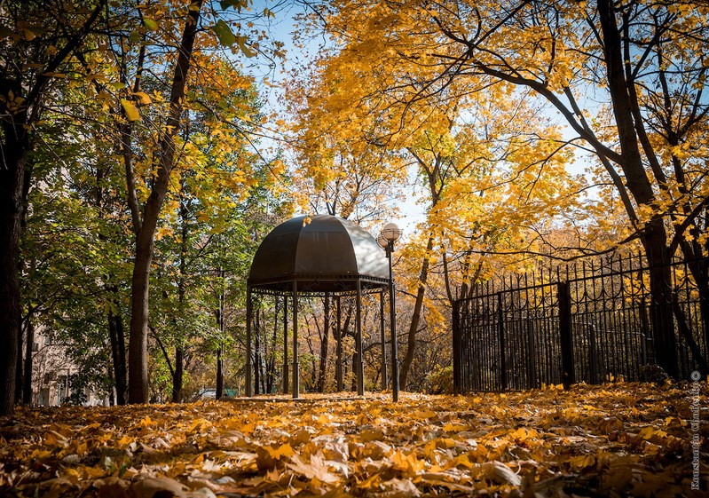 Фото сделанное пользователем KotoPalych