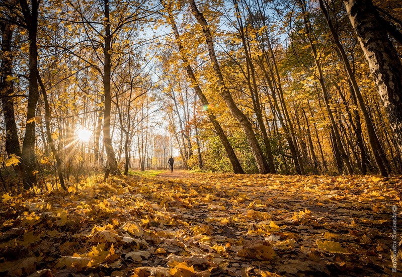 Фото сделанное пользователем KotoPalych