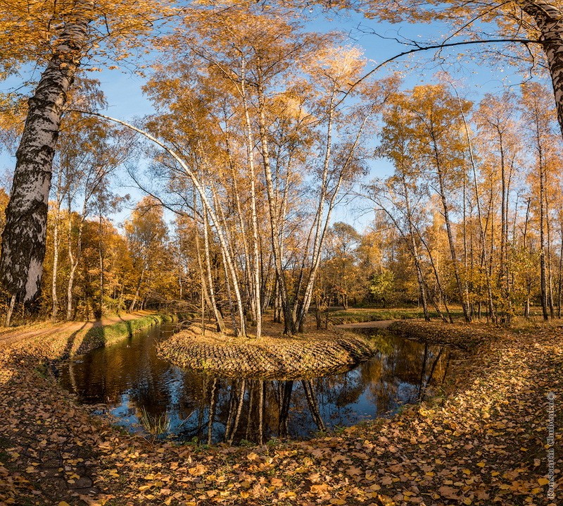 Фото сделанное пользователем KotoPalych