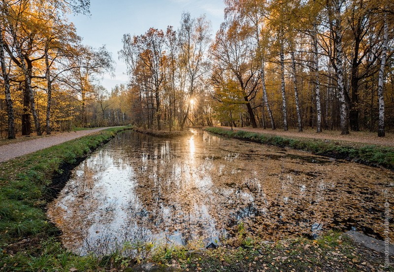 Фото сделанное пользователем KotoPalych