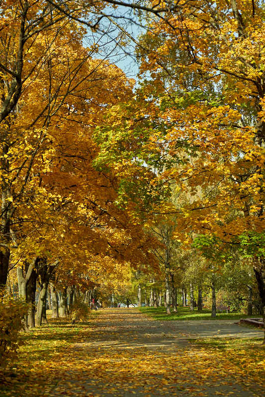 Фото сделанное пользователем олег25