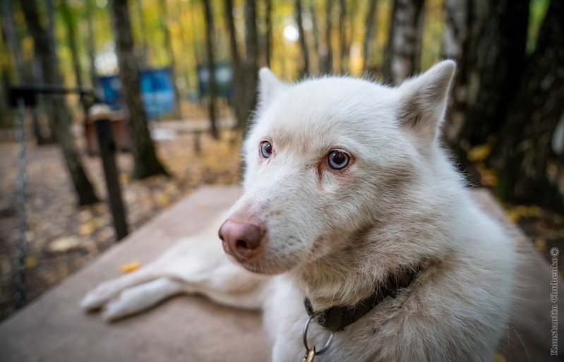 Фото сделанное пользователем KotoPalych