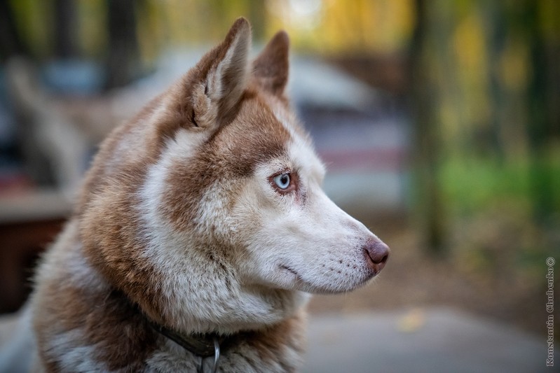 Фото сделанное пользователем KotoPalych