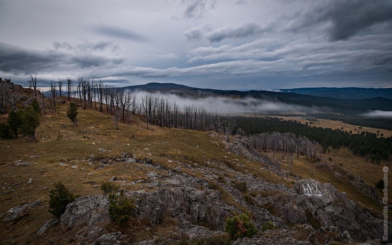 Фото сделанное пользователем KotoPalych