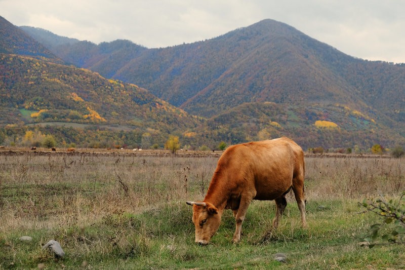 Фото сделанное пользователем romelenium