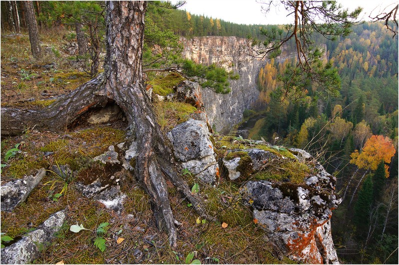 Кураповские скалы фото