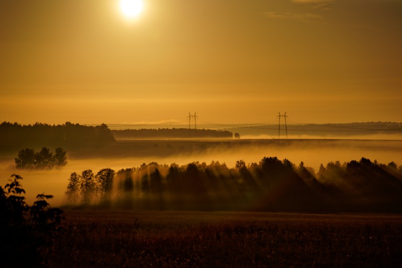 Фото сделанное пользователем szezya