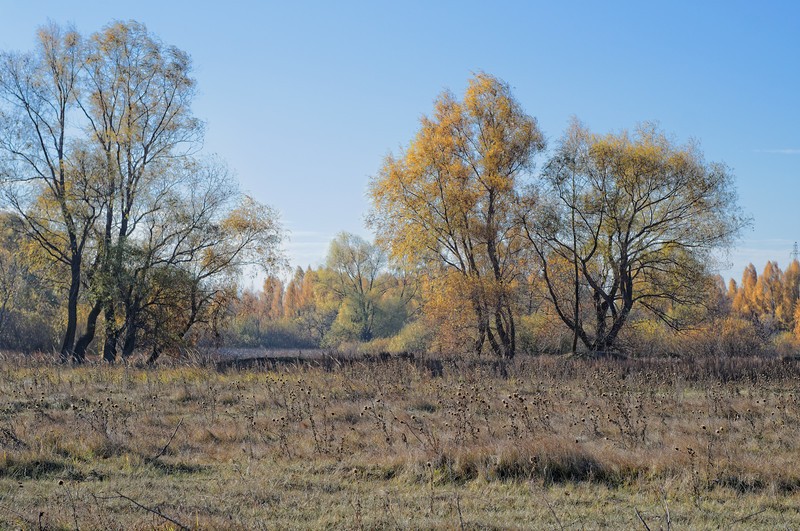 Фото сделанное пользователем Андре Номан