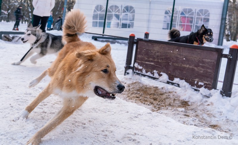 Фото сделанное пользователем KotoPalych