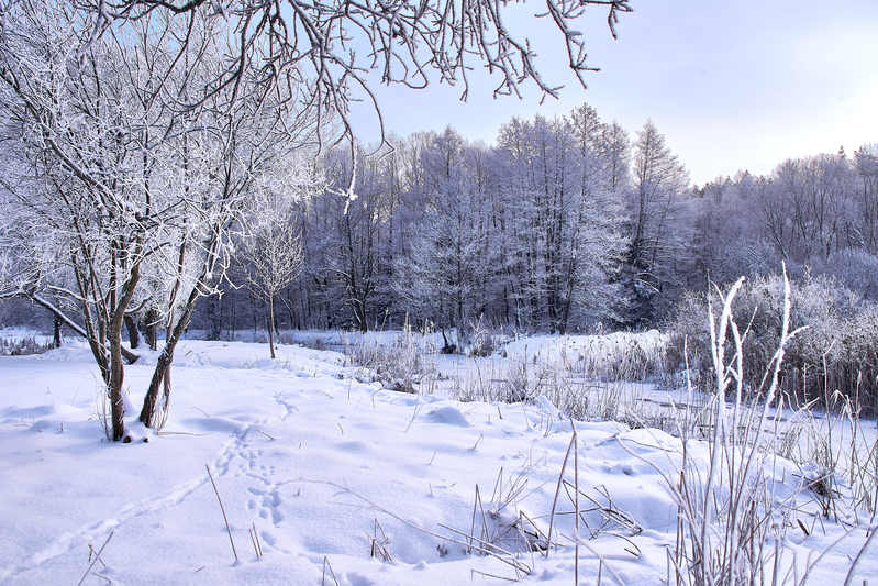 Фото сделанное пользователем Alikbars