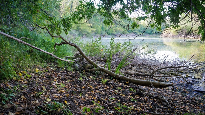 Фото сделанное пользователем Андре Номан