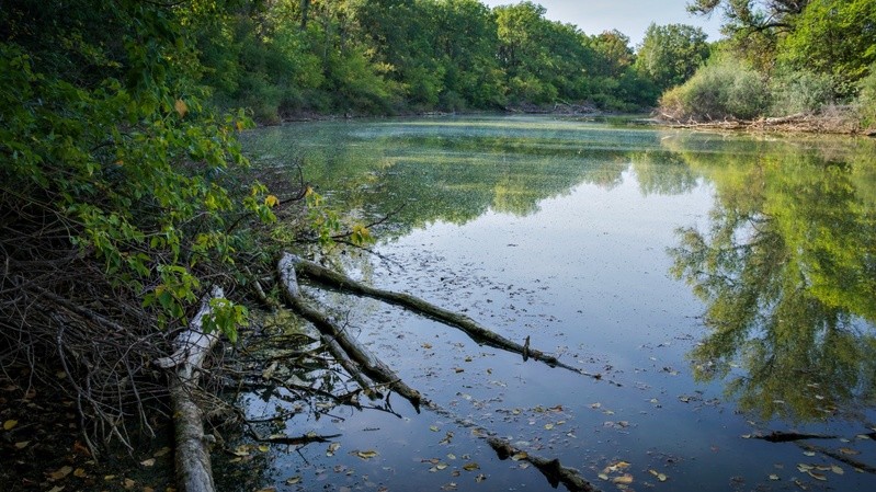 Фото сделанное пользователем Андре Номан