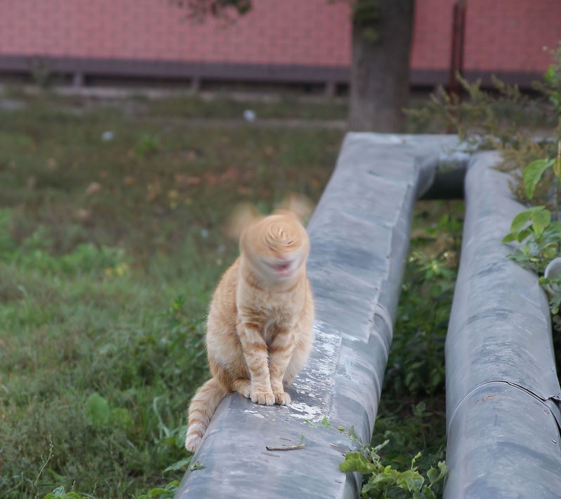 Фото сделанное пользователем yur