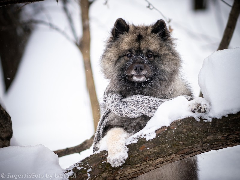 Фото сделанное пользователем larsik