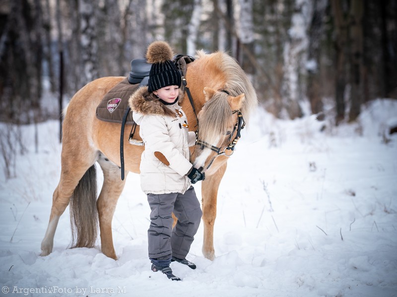 Фото сделанное пользователем larsik