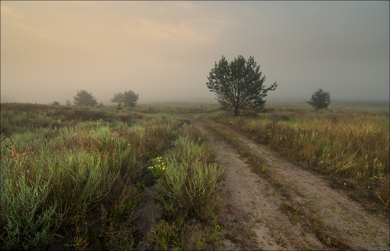 Фото сделанное пользователем WENIK