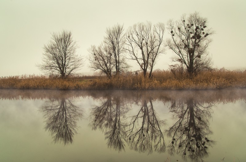 Фото сделанное пользователем WENIK