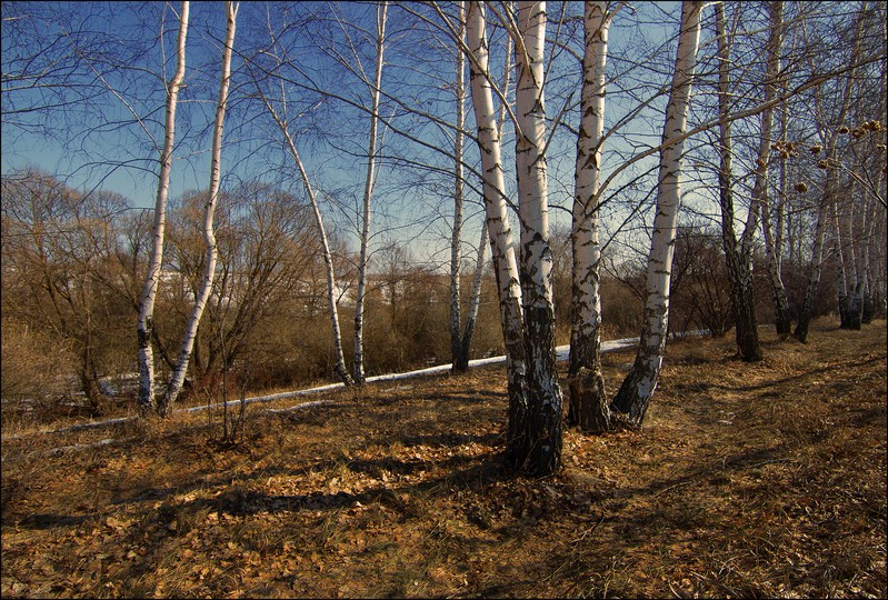 Фото сделанное пользователем WENIK