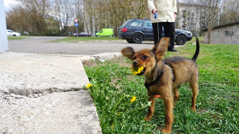 Фото сделанное пользователем Shep67