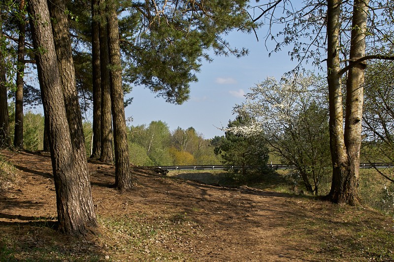 Фото сделанное пользователем Alikbars