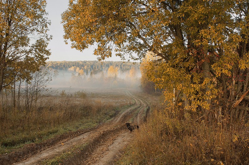 Фото сделанное пользователем aleks1945