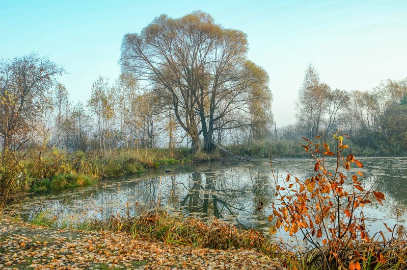 Фото сделанное пользователем AndreikaS