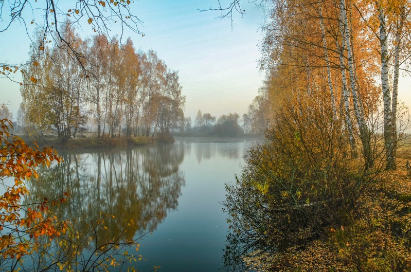 Фото сделанное пользователем AndreikaS