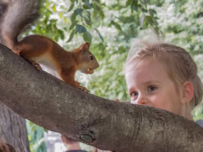 Фото сделанное пользователем AndreikaS