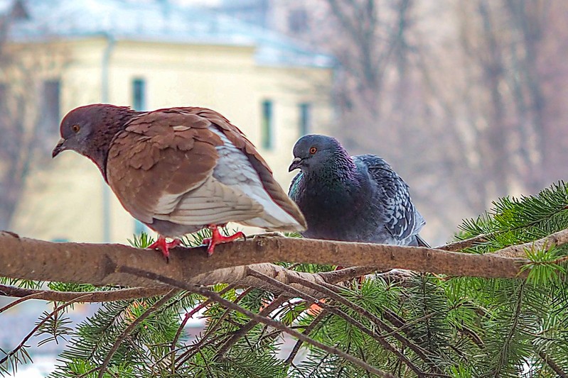 Фото сделанное пользователем AndreikaS