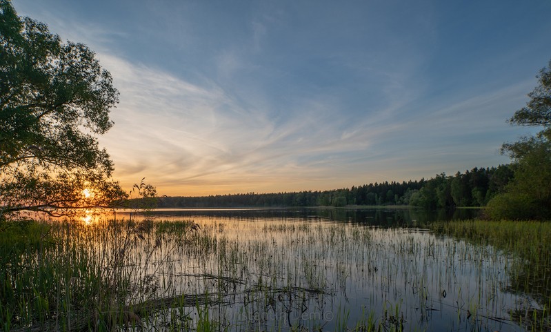 Фото сделанное пользователем KotoPalych