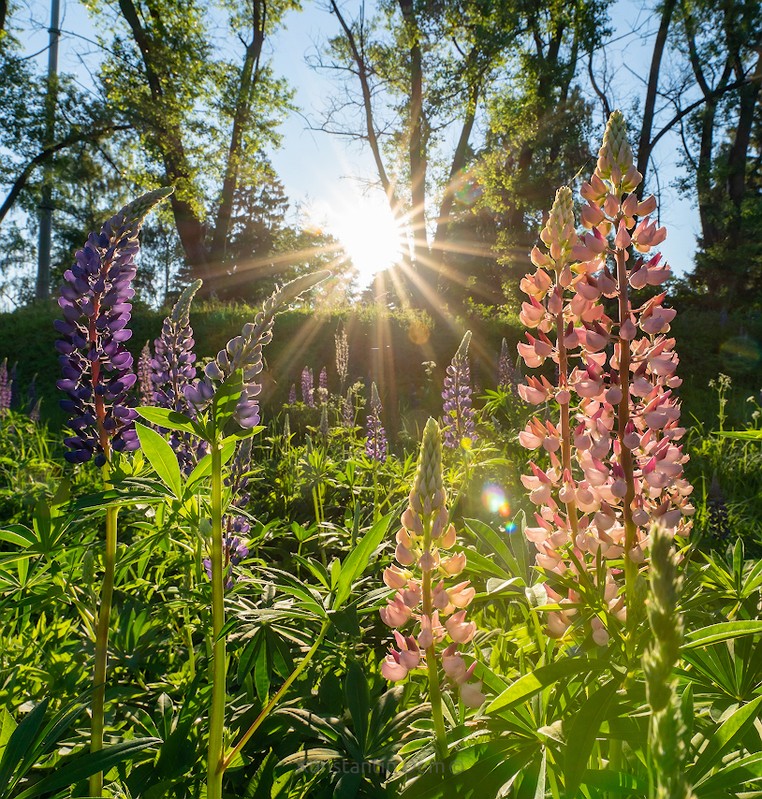 Фото сделанное пользователем KotoPalych