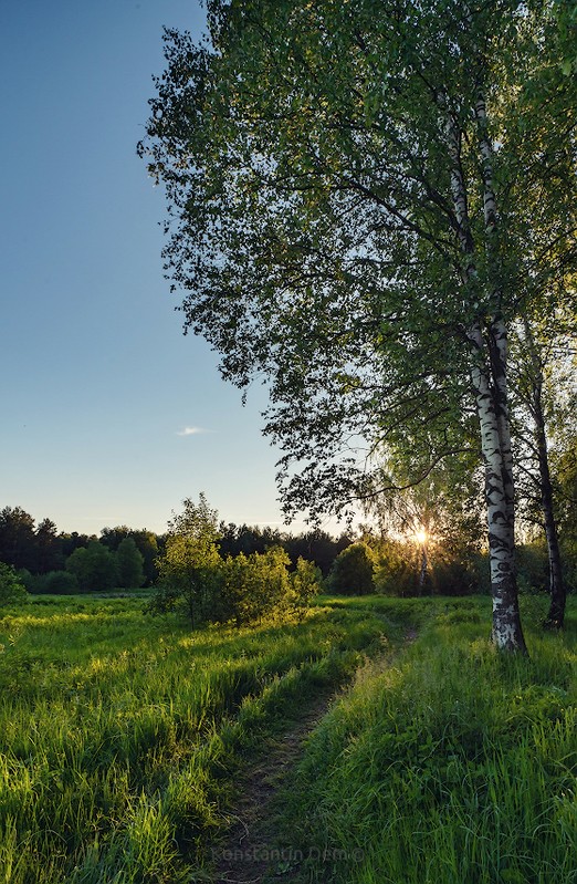 Фото сделанное пользователем KotoPalych