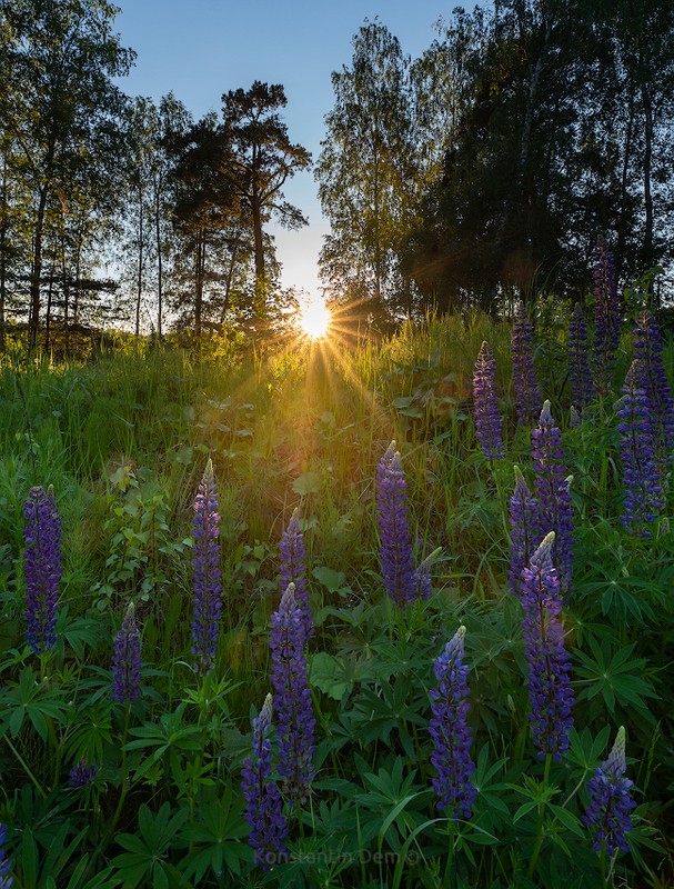 Фото сделанное пользователем KotoPalych