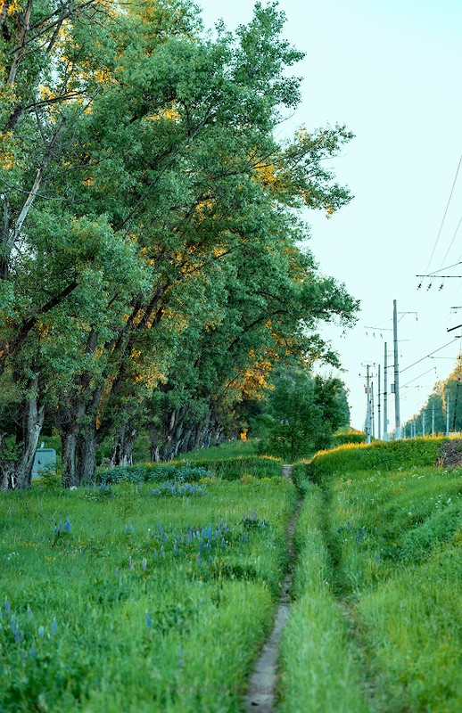 Фото сделанное пользователем KotoPalych