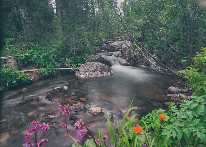 Фото сделанное пользователем gerr_pogarnik