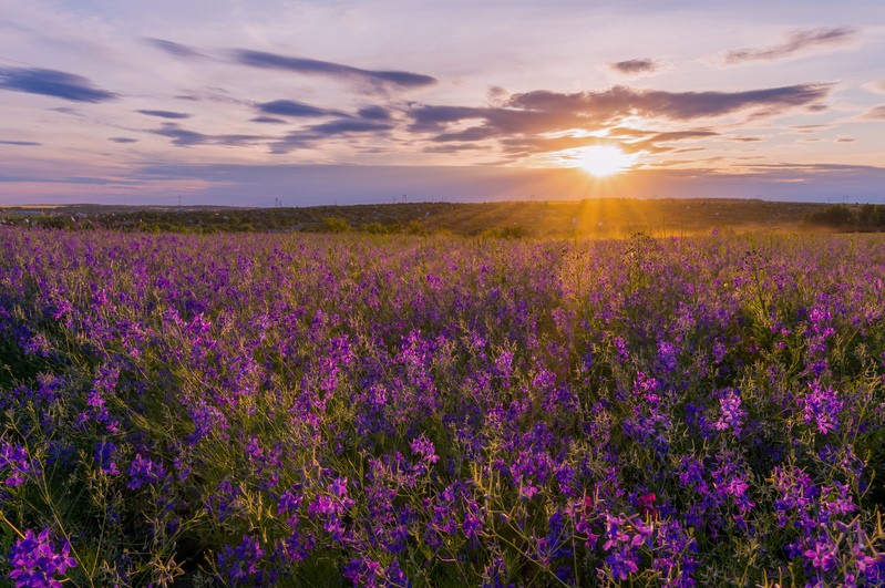 Фото сделанное пользователем Semenko