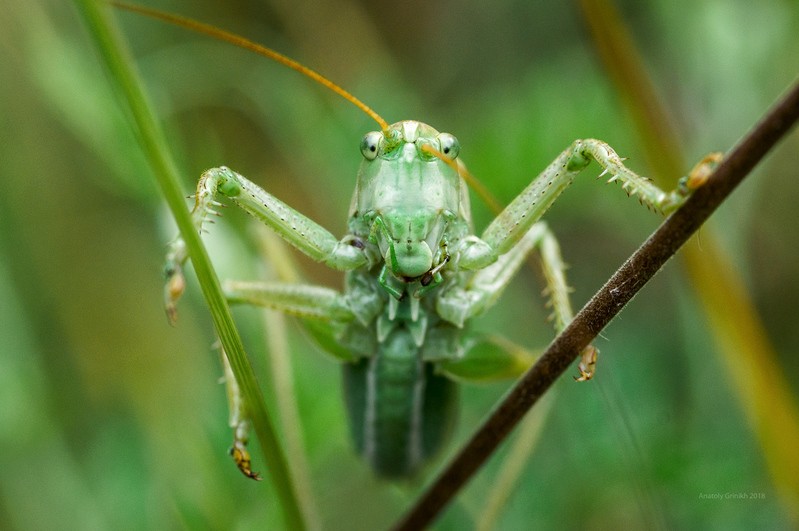 Фото сделанное пользователем a.green72