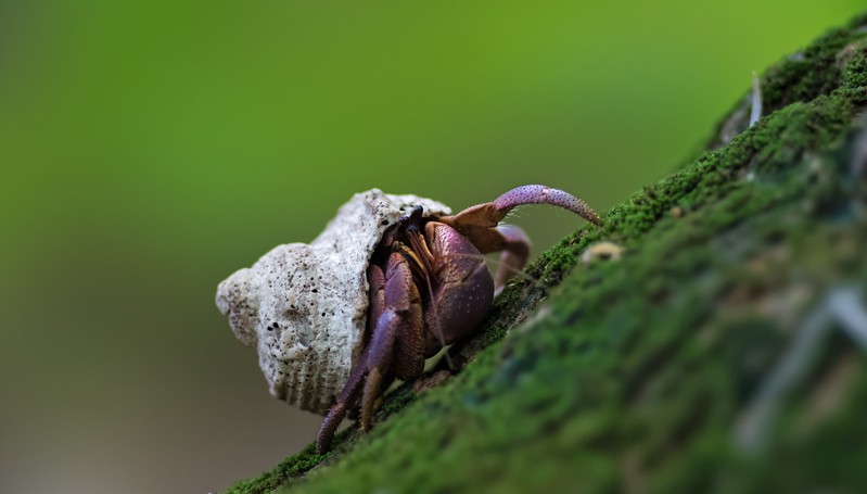 Фото сделанное пользователем andreybs