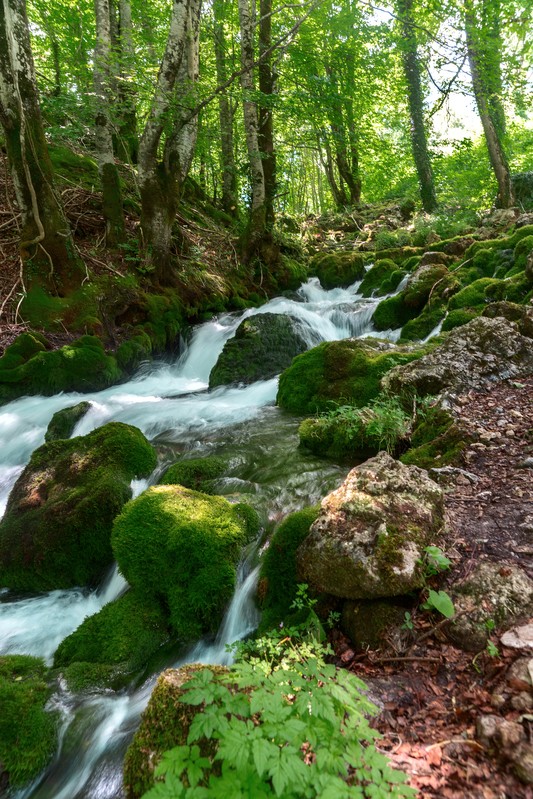 Фото сделанное пользователем albsk