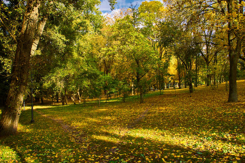 Фото сделанное пользователем Alikbars