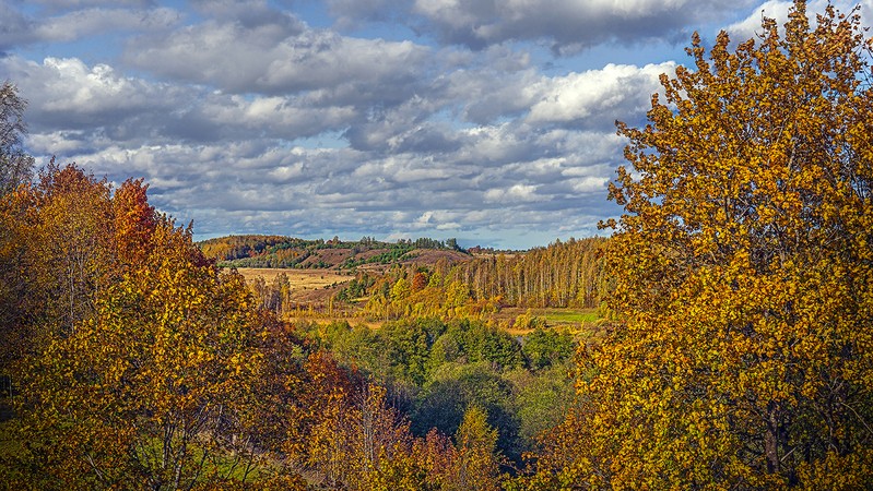 Фото сделанное пользователем gvad1